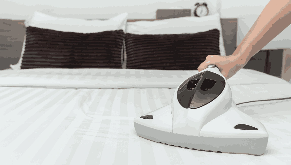 Professional Mattress Cleaning Doreen